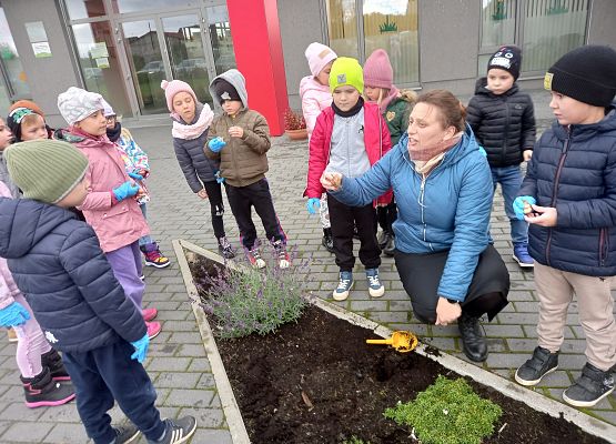 Przedszkolaki podczas sadzenia żonkili.